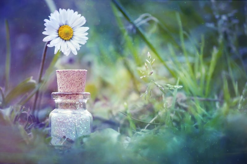 Enchanted glass gardens